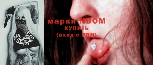 ПСИЛОЦИБИНОВЫЕ ГРИБЫ Алзамай