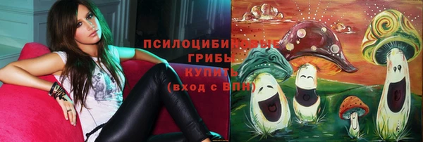 ПСИЛОЦИБИНОВЫЕ ГРИБЫ Алзамай