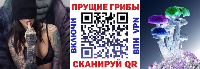 Псилоцибиновые грибы GOLDEN TEACHER Спасск